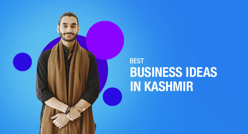Best Business Ideas For People In Kashmir
