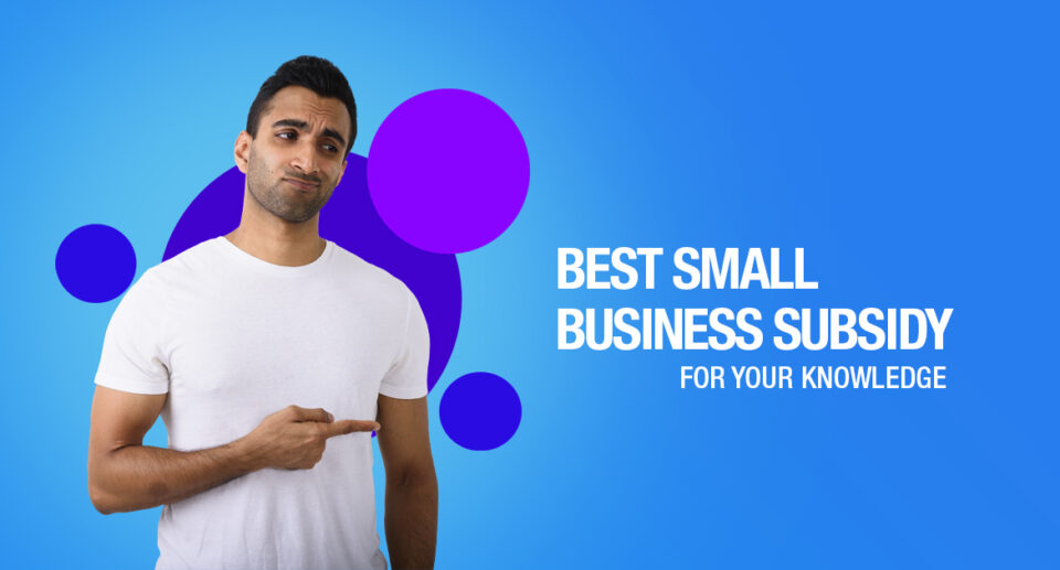 Best Small Business Subsidies You Should Know About For Loans