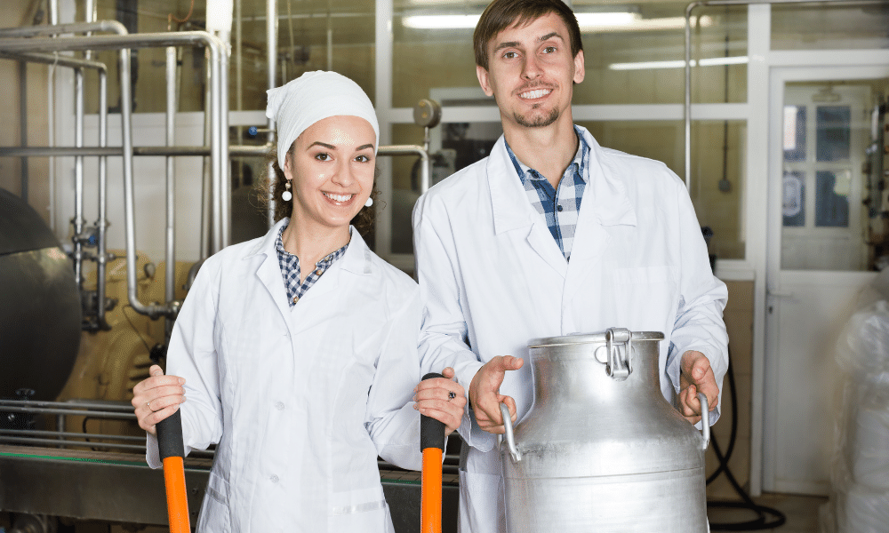 Dairy Processing small food business ideas 