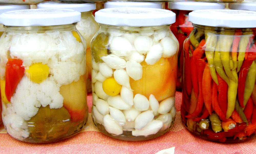 Pickle making business ideas in Jaipur