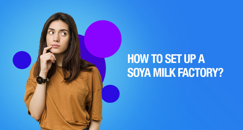 How to Set Up a Soya Milk Factory?