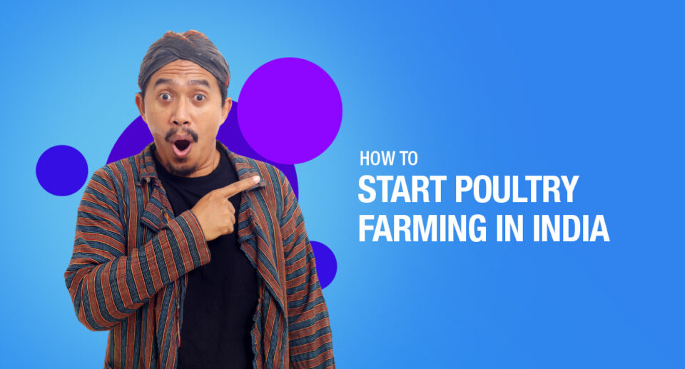 How To Start Poultry farming In India