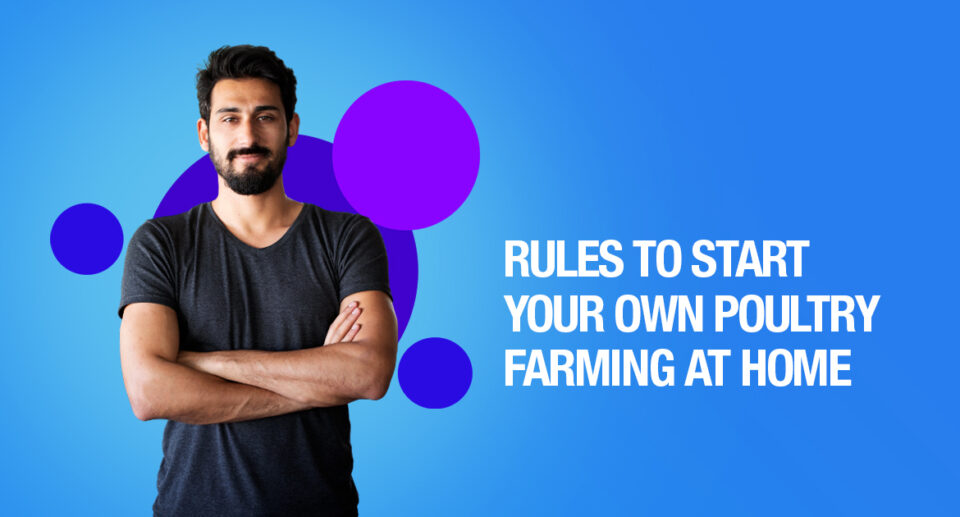 Rules To Start Your Own Poultry Farming At Home