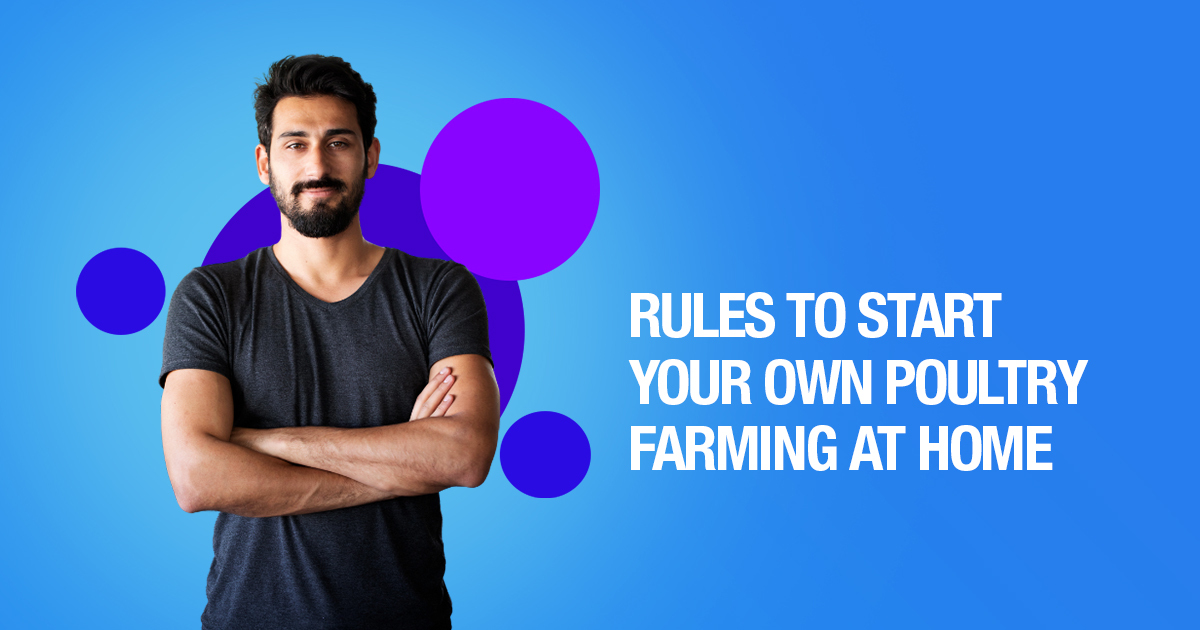 Rules To Start Your Own Poultry Farming At Home