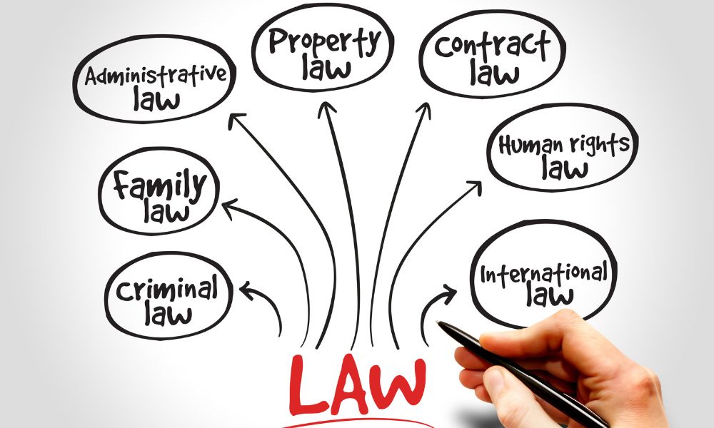 Types of Law Specialization