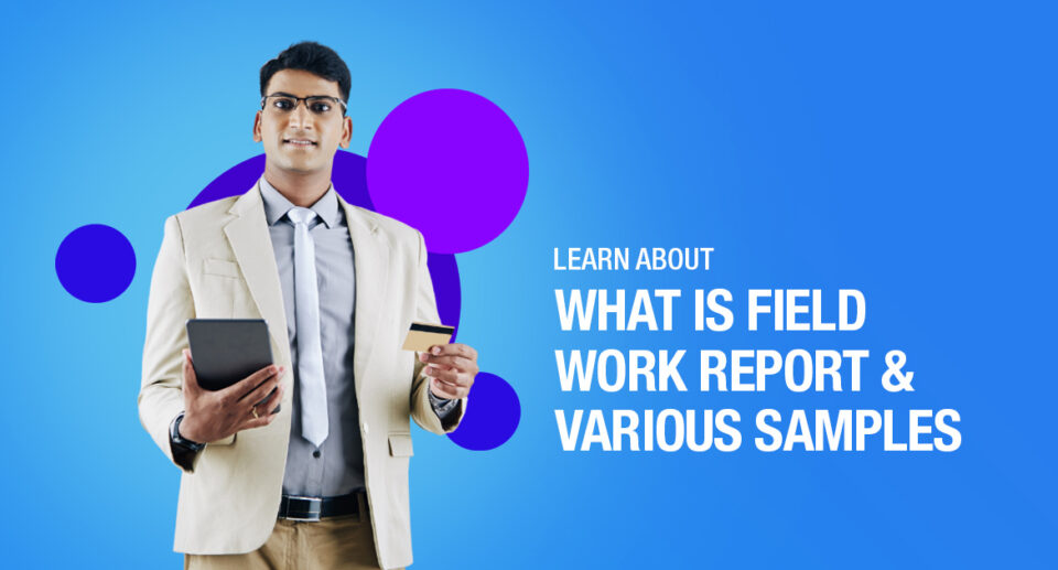 What Is Field Work Report And Various Samples