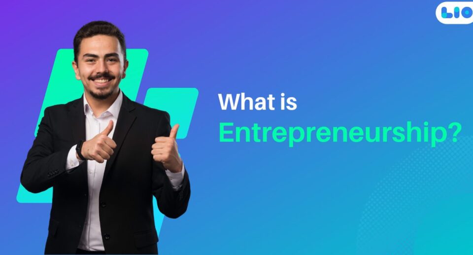 What Is Entrepreneurship: Meaning And Process Of Entrepreneurship