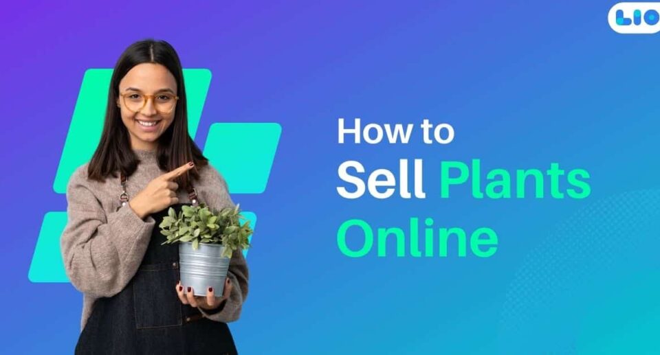 How to Sell Plants Online: A Beginner's Guide